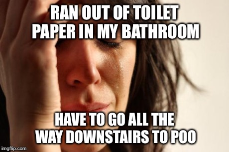 First World Problems | RAN OUT OF TOILET PAPER IN MY BATHROOM HAVE TO GO ALL THE WAY DOWNSTAIRS TO POO | image tagged in memes,first world problems | made w/ Imgflip meme maker