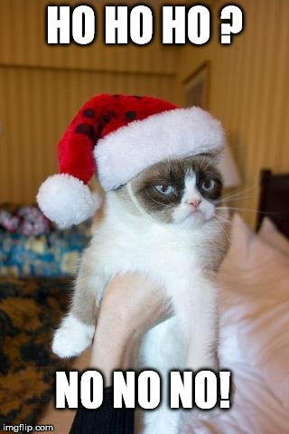 Grumpy Cat Christmas | HO HO HO ? NO NO NO! | image tagged in memes,grumpy cat christmas,grumpy cat | made w/ Imgflip meme maker