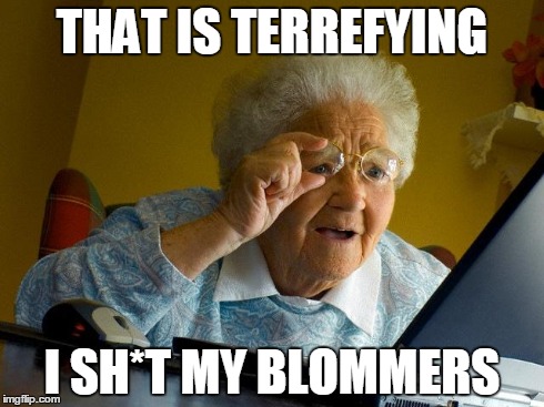 THAT IS TERREFYING I SH*T MY BLOMMERS | image tagged in memes,grandma finds the internet | made w/ Imgflip meme maker