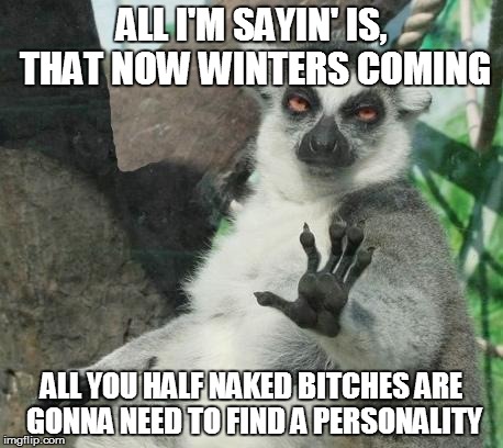 Stoner Lemur | ALL I'M SAYIN' IS, THAT NOW WINTERS COMING ALL YOU HALF NAKED B**CHES ARE GONNA NEED TO FIND A PERSONALITY | image tagged in memes,stoner lemur | made w/ Imgflip meme maker