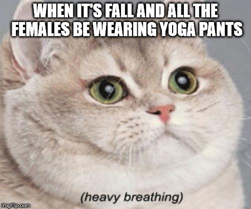 Heavy Breathing Cat | WHEN IT'S FALL AND ALL THE FEMALES BE WEARING YOGA PANTS | image tagged in heavy breathing cat | made w/ Imgflip meme maker