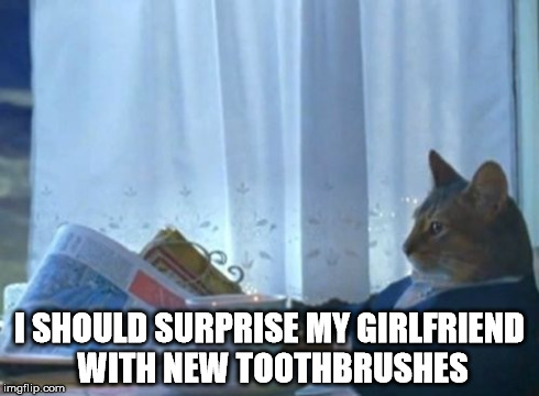 I Should Buy A Boat Cat Meme | I SHOULD SURPRISE MY GIRLFRIEND WITH NEW TOOTHBRUSHES | image tagged in memes,i should buy a boat cat | made w/ Imgflip meme maker