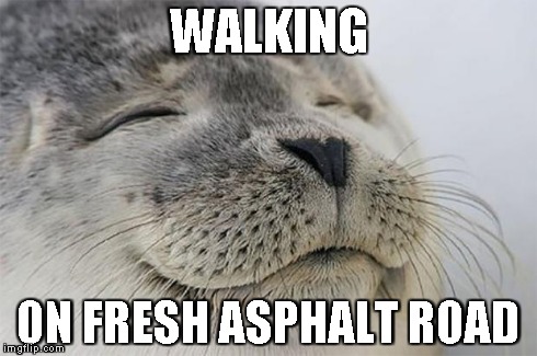 Satisfied Seal | WALKING ON FRESH ASPHALT ROAD | image tagged in satisfied seal | made w/ Imgflip meme maker
