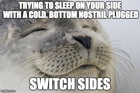 Satisfied Seal | TRYING TO SLEEP ON YOUR SIDE WITH A COLD, BOTTOM NOSTRIL PLUGGED SWITCH SIDES | image tagged in satisfied seal | made w/ Imgflip meme maker