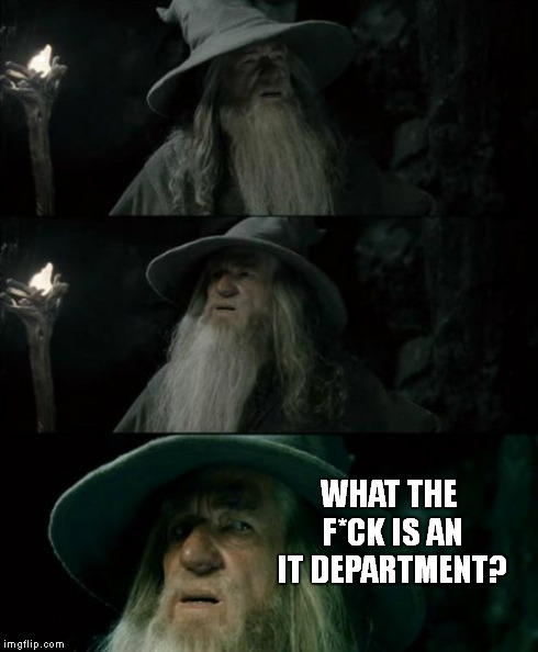 Confused Gandalf Meme | * WHAT THE F*CK IS AN IT DEPARTMENT? | image tagged in memes,confused gandalf | made w/ Imgflip meme maker