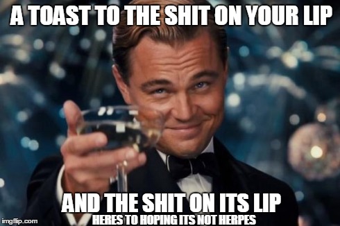 Maybe you should get your own glass | A TOAST TO THE SHIT ON YOUR LIP AND THE SHIT ON ITS LIP HERES TO HOPING ITS NOT HERPES | image tagged in memes,leonardo dicaprio cheers | made w/ Imgflip meme maker