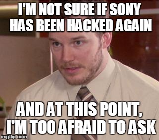 Afraid To Ask Andy Meme | I'M NOT SURE IF SONY HAS BEEN HACKED AGAIN AND AT THIS POINT, I'M TOO AFRAID TO ASK | image tagged in and i'm too afraid to ask andy,AdviceAnimals | made w/ Imgflip meme maker