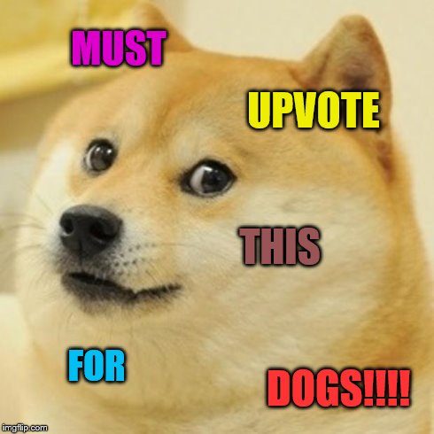 Doge Meme | MUST UPVOTE THIS FOR DOGS!!!! | image tagged in memes,doge | made w/ Imgflip meme maker