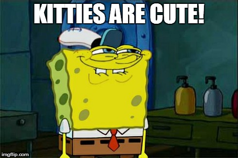 Don't You Squidward Meme | KITTIES ARE CUTE! | image tagged in memes,dont you squidward | made w/ Imgflip meme maker