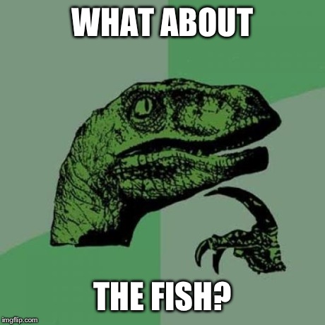Philosoraptor Meme | WHAT ABOUT THE FISH? | image tagged in memes,philosoraptor | made w/ Imgflip meme maker