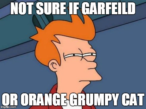Futurama Fry | NOT SURE IF GARFEILD OR ORANGE GRUMPY CAT | image tagged in memes,futurama fry | made w/ Imgflip meme maker