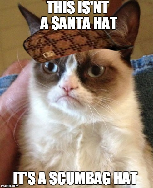 Grumpy Cat Meme | THIS IS'NT A SANTA HAT IT'S A SCUMBAG HAT | image tagged in memes,grumpy cat,scumbag | made w/ Imgflip meme maker