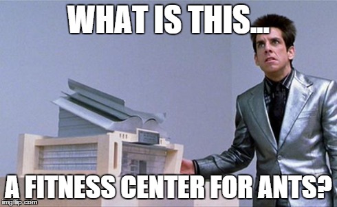 A center for ants? | WHAT IS THIS... A FITNESS CENTER FOR ANTS? | image tagged in a center for ants,AdviceAnimals | made w/ Imgflip meme maker