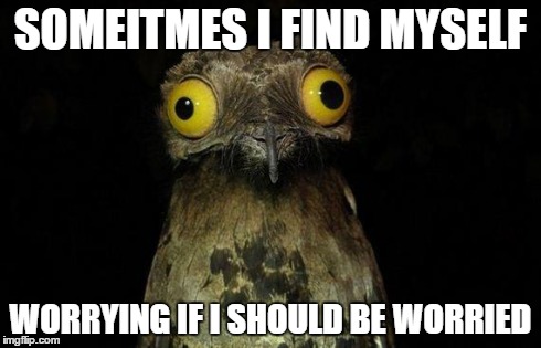 weird stuff i do pootoo | SOMEITMES I FIND MYSELF WORRYING IF I SHOULD BE WORRIED | image tagged in weird stuff i do pootoo,AdviceAnimals | made w/ Imgflip meme maker