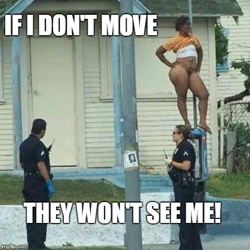 Invisibility spell | IF I DON'T MOVE THEY WON'T SEE ME! | image tagged in funny memes,police,silly logic,hide and seek | made w/ Imgflip meme maker