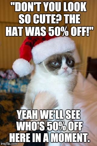Grumpy Cat Christmas | "DON'T YOU LOOK SO CUTE? THE HAT WAS 50% OFF!" YEAH WE'LL SEE WHO'S 50% OFF HERE IN A MOMENT. | image tagged in memes,grumpy cat christmas,grumpy cat | made w/ Imgflip meme maker