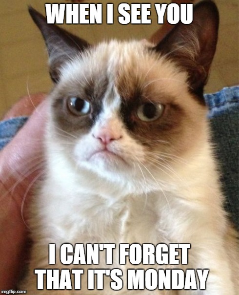 Grumpy Cat | WHEN I SEE YOU I CAN'T FORGET THAT IT'S MONDAY | image tagged in memes,grumpy cat | made w/ Imgflip meme maker