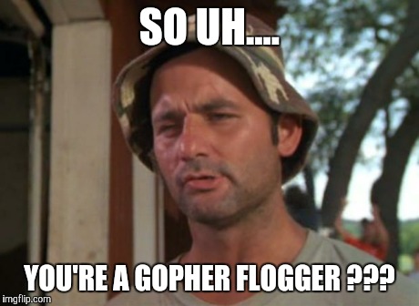 So I Got That Goin For Me Which Is Nice | SO UH.... YOU'RE A GOPHER FLOGGER ??? | image tagged in memes,so i got that goin for me which is nice | made w/ Imgflip meme maker