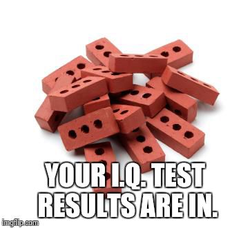Pile of bricks | YOUR I.Q. TEST RESULTS ARE IN. | image tagged in pile of bricks | made w/ Imgflip meme maker