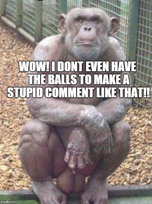 Look at his balls | WOW! I DONT EVEN HAVE THE BALLS TO MAKE A STUPID COMMENT LIKE THAT!! | image tagged in look at his balls | made w/ Imgflip meme maker