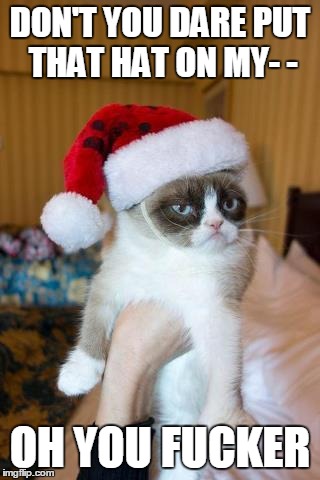 Grumpy Hat | DON'T YOU DARE PUT THAT HAT ON MY- - OH YOU F**KER | image tagged in memes,grumpy cat christmas,grumpy cat | made w/ Imgflip meme maker