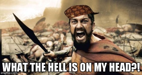 Sparta Leonidas Meme | WHAT THE HELL IS ON MY HEAD?! | image tagged in memes,sparta leonidas,scumbag | made w/ Imgflip meme maker