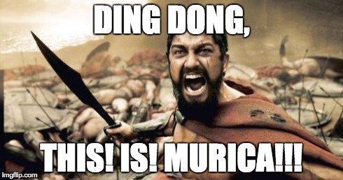 Sparta Leonidas Meme | DING DONG, THIS! IS! MURICA!!! | image tagged in memes,sparta leonidas | made w/ Imgflip meme maker