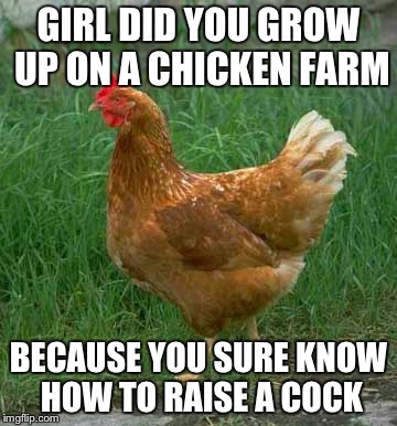 GIRL DID YOU GROW UP ON A CHICKEN FARM BECAUSE YOU SURE KNOW HOW TO RAISE A COCK | image tagged in bad pickup lines | made w/ Imgflip meme maker