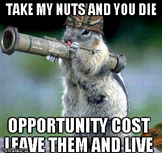 Bazooka Squirrel | TAKE MY NUTS AND YOU DIE OPPORTUNITY COST LEAVE THEM AND LIVE | image tagged in memes,bazooka squirrel | made w/ Imgflip meme maker
