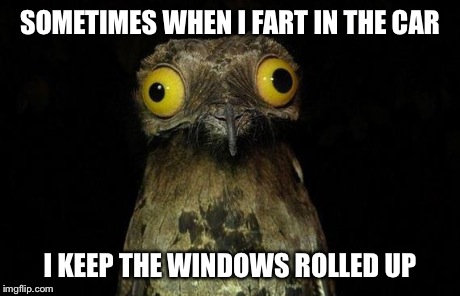 Weird Stuff I Do Potoo Meme | SOMETIMES WHEN I FART IN THE CAR I KEEP THE WINDOWS ROLLED UP | image tagged in memes,weird stuff i do potoo | made w/ Imgflip meme maker