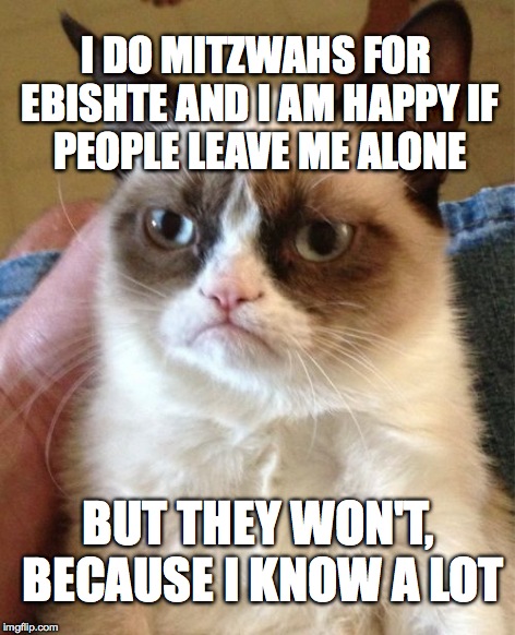 Grumpy Cat Meme | I DO MITZWAHS FOR EBISHTE AND I AM HAPPY
IF PEOPLE LEAVE ME ALONE BUT THEY WON'T, BECAUSE I KNOW A LOT | image tagged in memes,grumpy cat | made w/ Imgflip meme maker