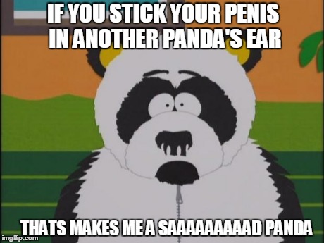 sad panda-south park | IF YOU STICK YOUR P**IS IN ANOTHER PANDA'S EAR THATS MAKES ME A SAAAAAAAAAD PANDA | image tagged in sad panda-south park | made w/ Imgflip meme maker