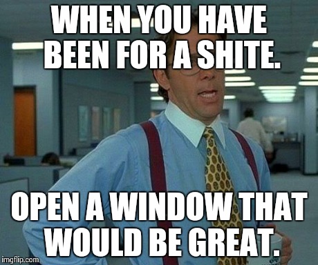 That Would Be Great Meme | WHEN YOU HAVE BEEN FOR A SHITE. OPEN A WINDOW
THAT WOULD BE GREAT. | image tagged in memes,that would be great | made w/ Imgflip meme maker