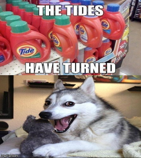 The Tides Have Turned | image tagged in memes,funny,bad pun dog | made w/ Imgflip meme maker