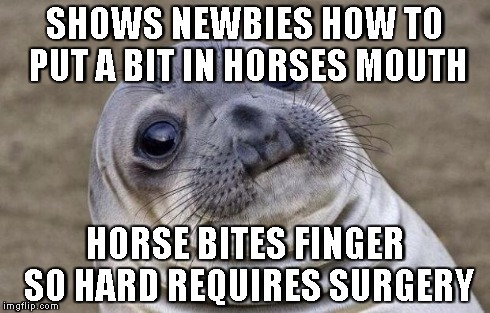 Awkward Moment Sealion Meme | SHOWS NEWBIES HOW TO PUT A BIT IN HORSES MOUTH HORSE BITES FINGER SO HARD REQUIRES SURGERY | image tagged in memes,awkward moment sealion | made w/ Imgflip meme maker