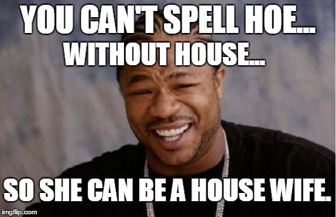 Yo Dawg Heard You Meme | YOU CAN'T SPELL HOE... WITHOUT HOUSE... SO SHE CAN BE A HOUSE WIFE. | image tagged in memes,yo dawg heard you | made w/ Imgflip meme maker