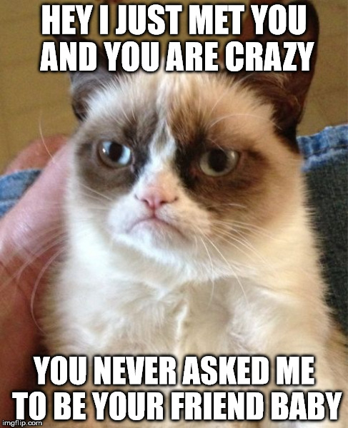 Grumpy Cat Meme | HEY I JUST MET YOU AND YOU ARE CRAZY YOU NEVER ASKED ME TO BE YOUR FRIEND BABY | image tagged in memes,grumpy cat | made w/ Imgflip meme maker