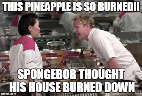 Angry Chef Gordon Ramsay Meme | THIS PINEAPPLE IS SO BURNED!! SPONGEBOB THOUGHT HIS HOUSE BURNED DOWN | image tagged in memes,angry chef gordon ramsay | made w/ Imgflip meme maker