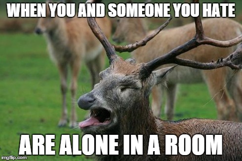 Disgusted Deer | WHEN YOU AND SOMEONE YOU HATE ARE ALONE IN A ROOM | image tagged in disgusted deer | made w/ Imgflip meme maker