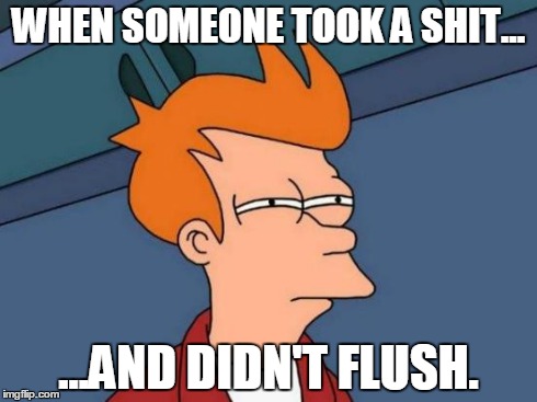 Futurama Fry Meme | WHEN SOMEONE TOOK A SHIT... ...AND DIDN'T FLUSH. | image tagged in memes,futurama fry | made w/ Imgflip meme maker