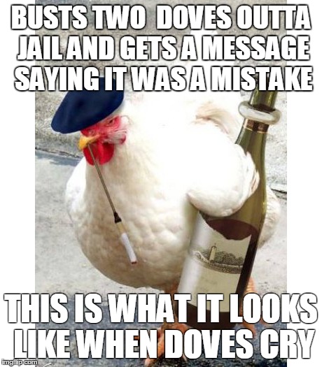 BUSTS TWO  DOVES OUTTA JAIL AND GETS A MESSAGE SAYING IT WAS A MISTAKE THIS IS WHAT IT LOOKS LIKE WHEN DOVES CRY | made w/ Imgflip meme maker