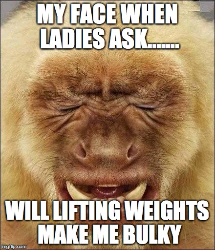 Gym | MY FACE WHEN LADIES ASK……. WILL LIFTING WEIGHTS MAKE ME BULKY | image tagged in gym | made w/ Imgflip meme maker