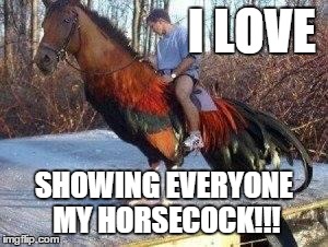 Horsecock | I LOVE SHOWING EVERYONE MY HORSECOCK!!! | image tagged in horsecock | made w/ Imgflip meme maker