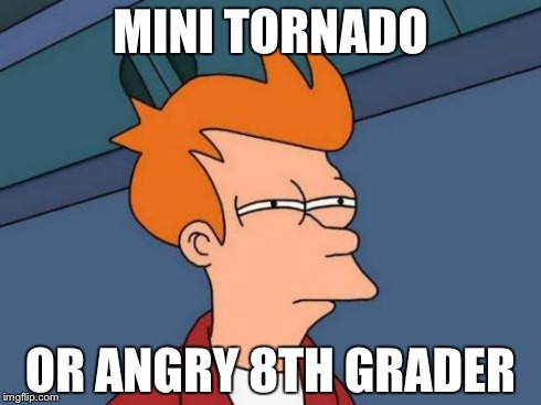 Futurama Fry | MINI TORNADO OR ANGRY 8TH GRADER | image tagged in memes,futurama fry | made w/ Imgflip meme maker
