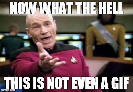 Picard Wtf Meme | NOW WHAT THE HELL THIS IS NOT EVEN A GIF | image tagged in memes,picard wtf | made w/ Imgflip meme maker