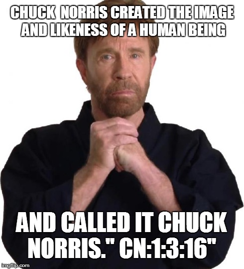 Determined Chuck Norris | CHUCK  NORRIS CREATED THE IMAGE AND LIKENESS OF A HUMAN BEING AND CALLED IT CHUCK NORRIS." CN:1:3:16" | image tagged in determined chuck norris | made w/ Imgflip meme maker