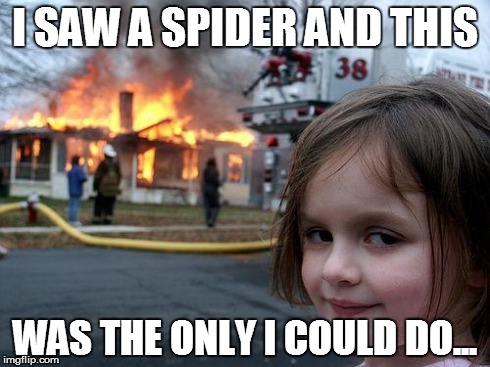 Disaster Girl | I SAW A SPIDER AND THIS WAS THE ONLY I COULD DO... | image tagged in memes,disaster girl | made w/ Imgflip meme maker