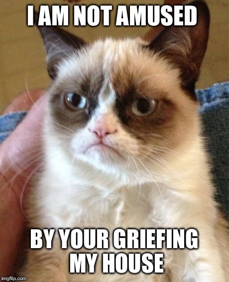 Grumpy Cat | I AM NOT AMUSED BY YOUR GRIEFING MY HOUSE | image tagged in memes,grumpy cat | made w/ Imgflip meme maker