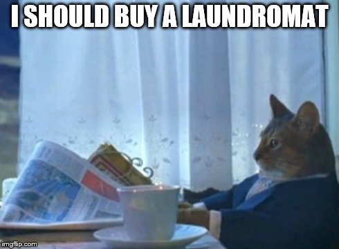 I Should Buy A Boat Cat | I SHOULD BUY A LAUNDROMAT | image tagged in memes,i should buy a boat cat | made w/ Imgflip meme maker