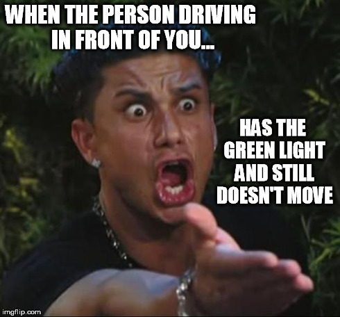 DJ Pauly D Meme | WHEN THE PERSON DRIVING IN FRONT OF YOU... HAS THE GREEN LIGHT AND STILL DOESN'T MOVE | image tagged in memes,dj pauly d,funny,driving,car,traffic | made w/ Imgflip meme maker